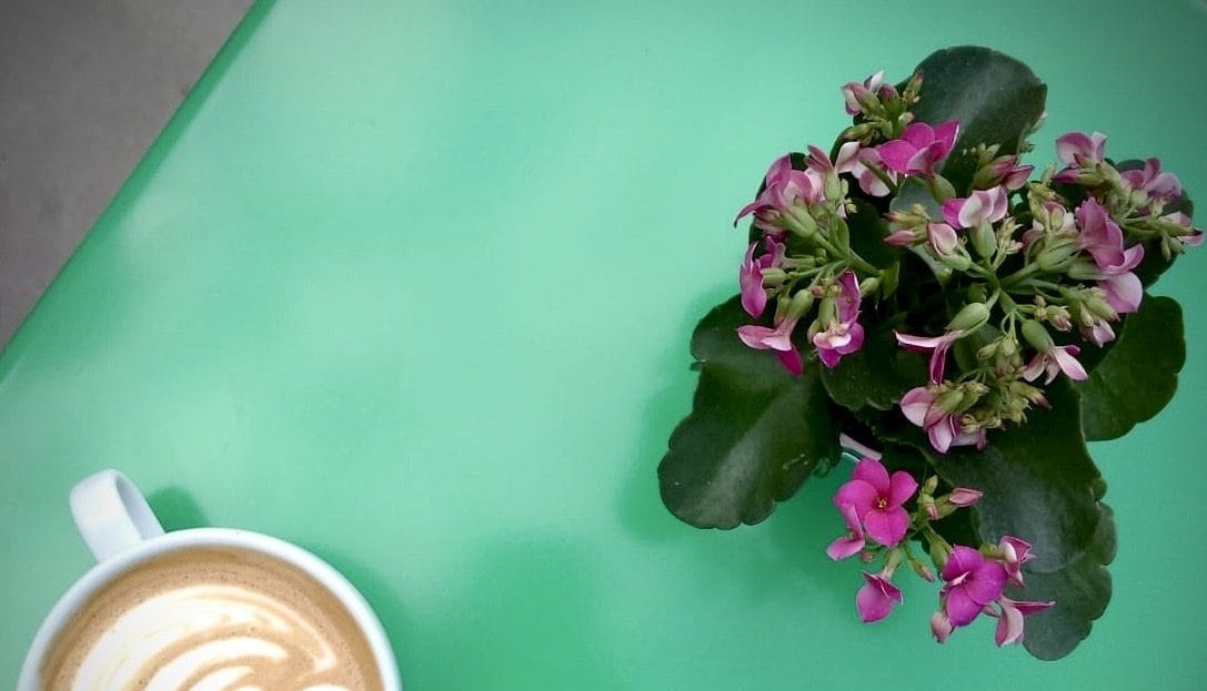 The Vench Corner Cafe photo 2