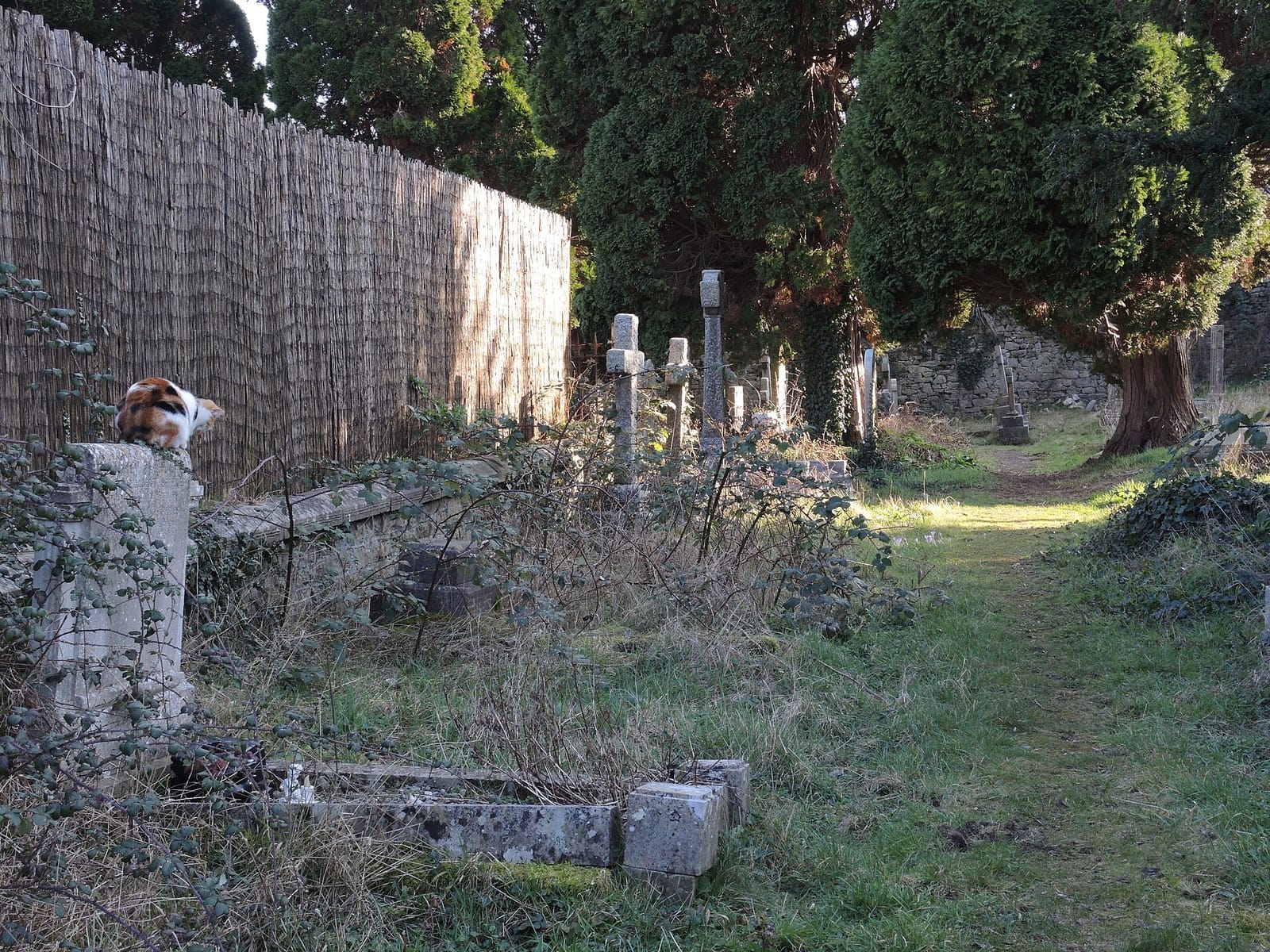Blaise Community Garden cafe photo 3