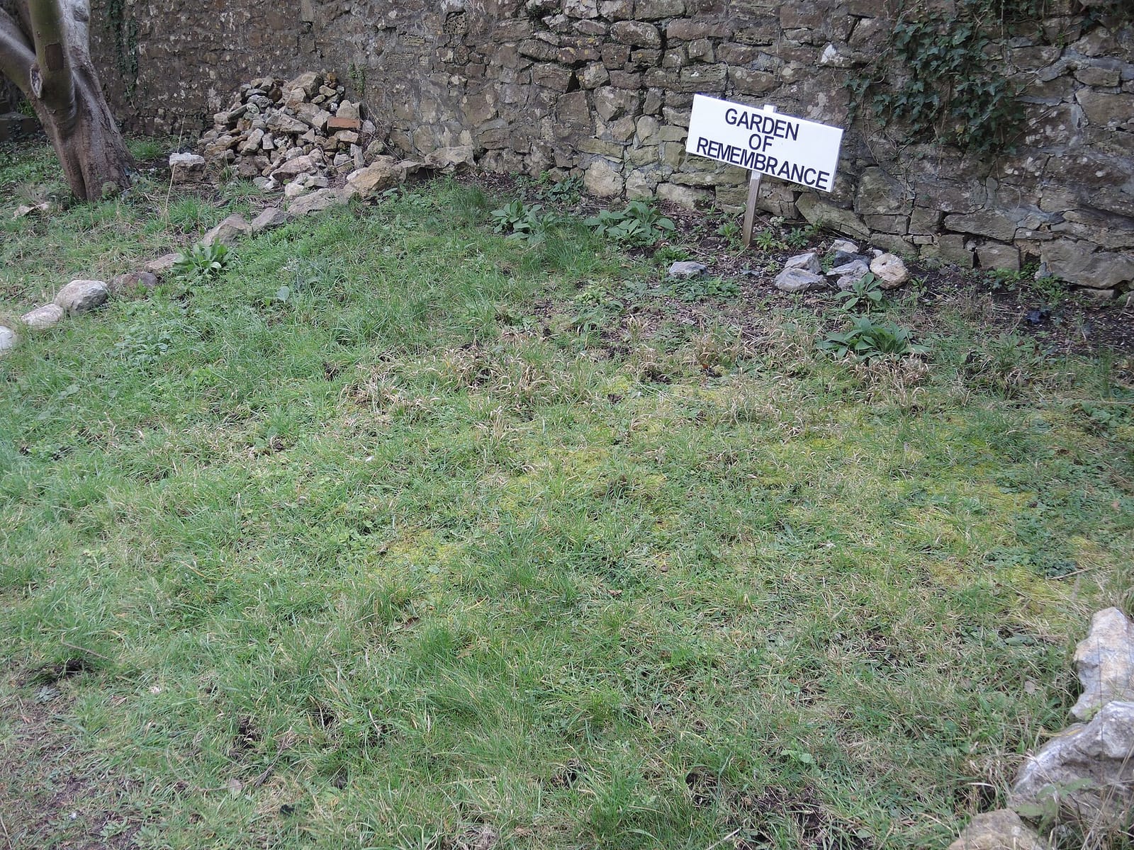 Blaise Community Garden cafe photo 5