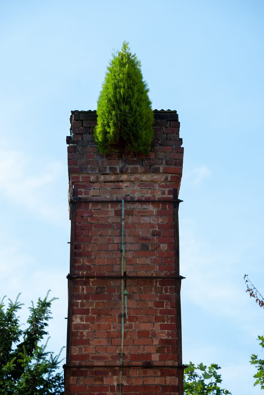 Arnos Vale Café photo 5