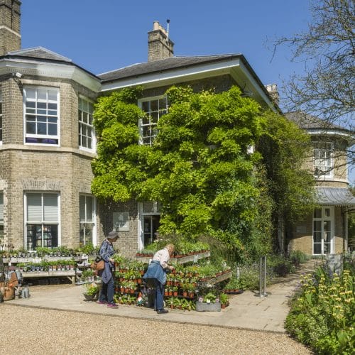 Cambridge University Botanic Garden Garden Café photo 4