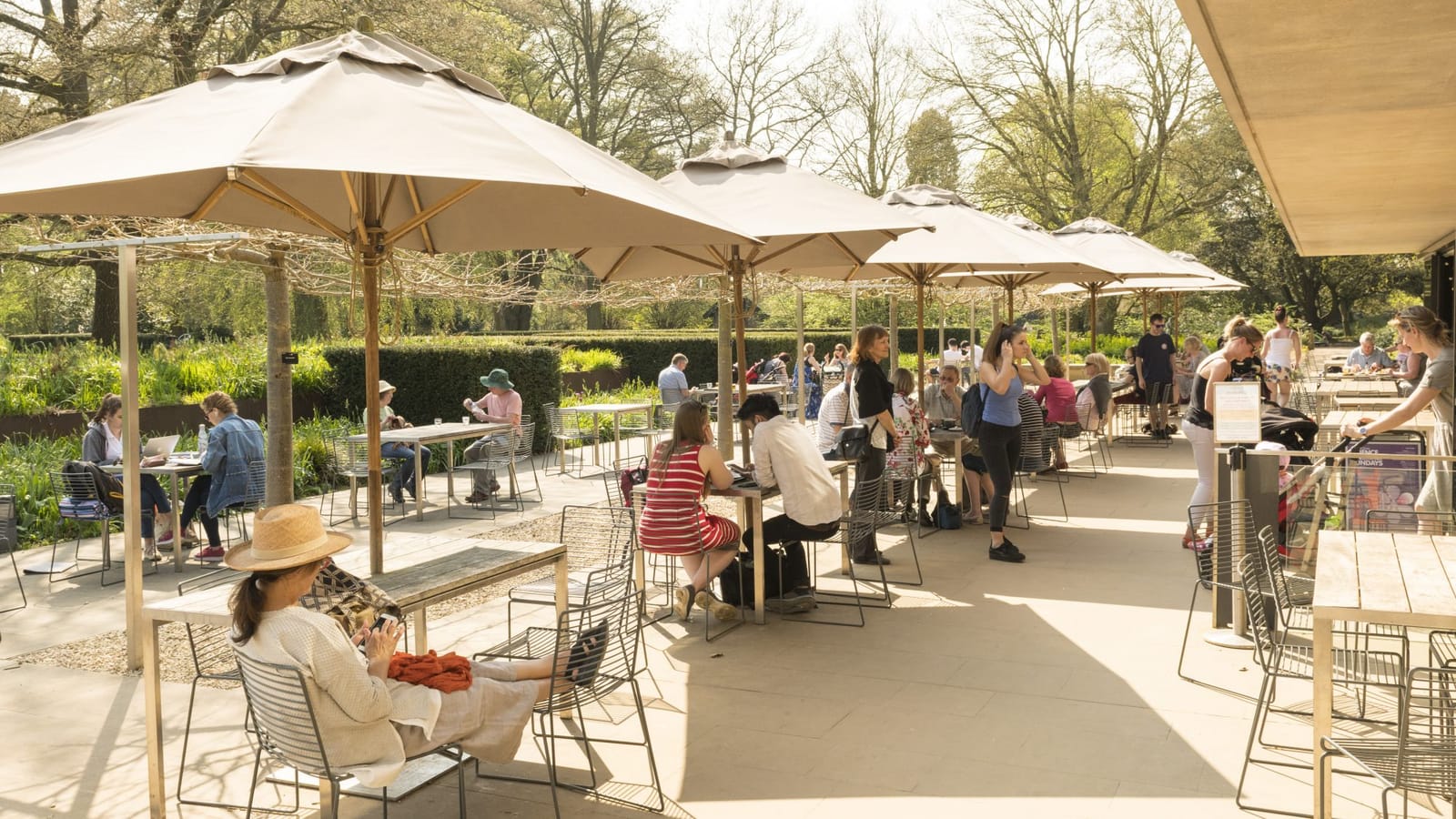 Cambridge University Botanic Garden Garden Café photo 2