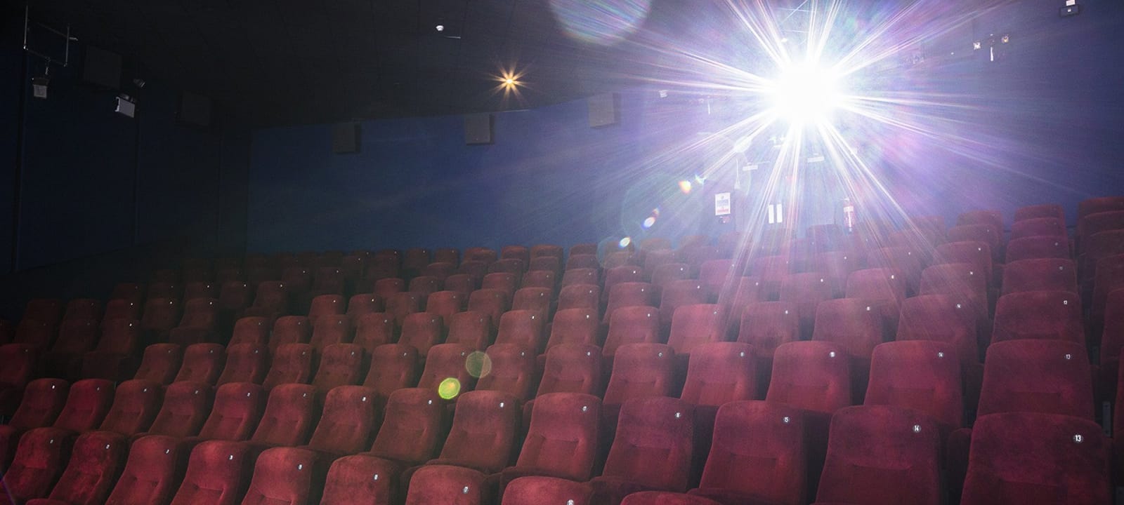 Arts Picturehouse photo 8