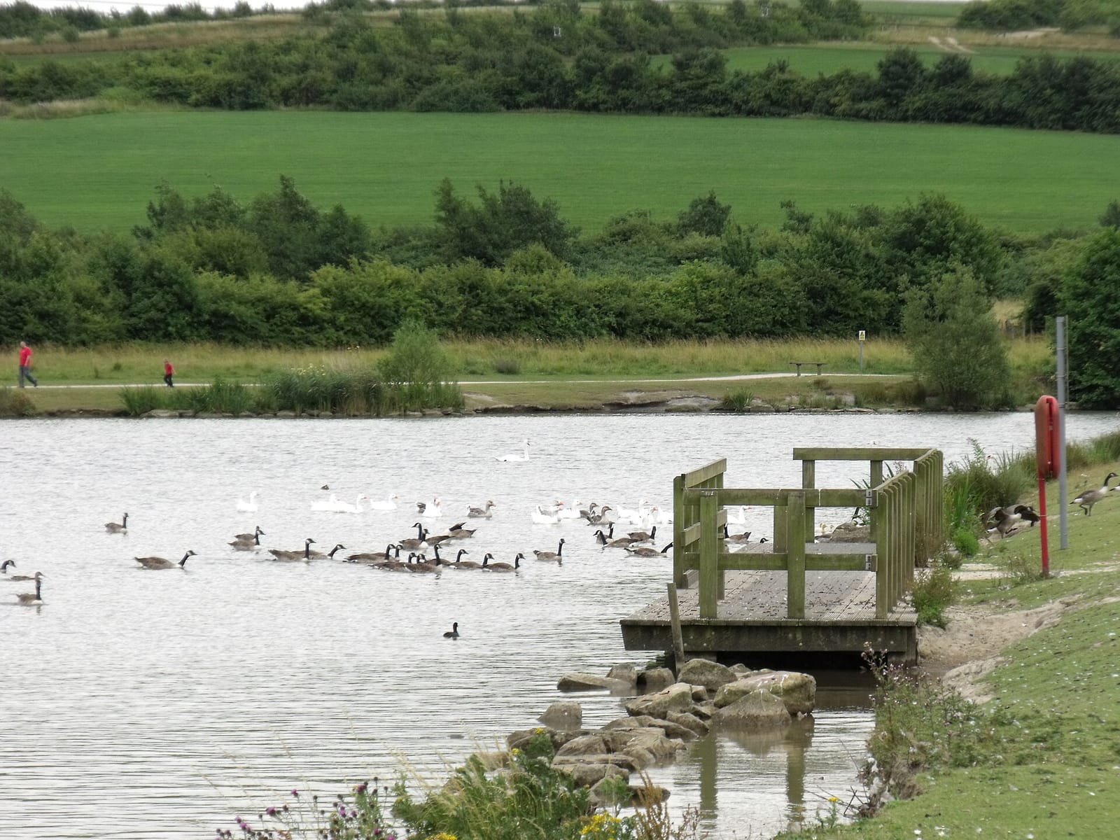 Coffee Stop (The Friends Of Poolsbrook Country Park Cafe) photo 3