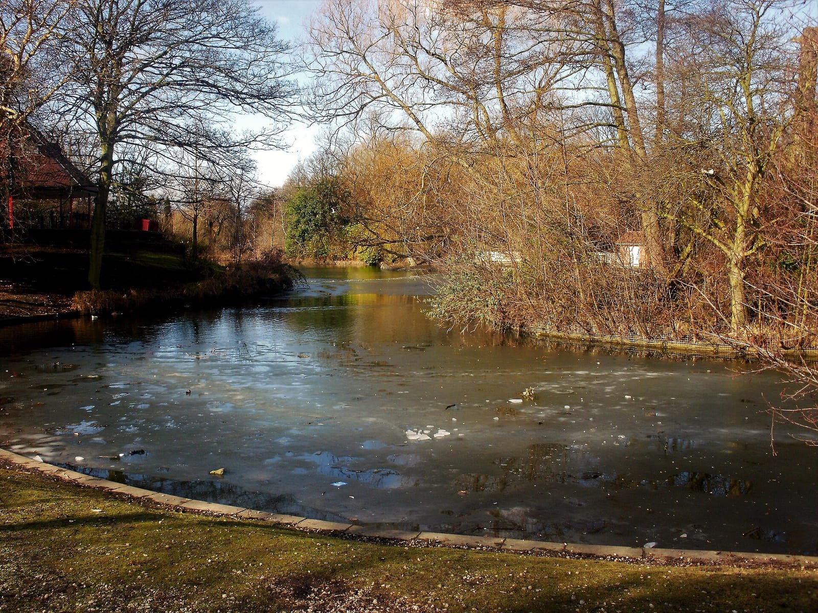 Coffee Shop & Ice Creams in the Park photo 3