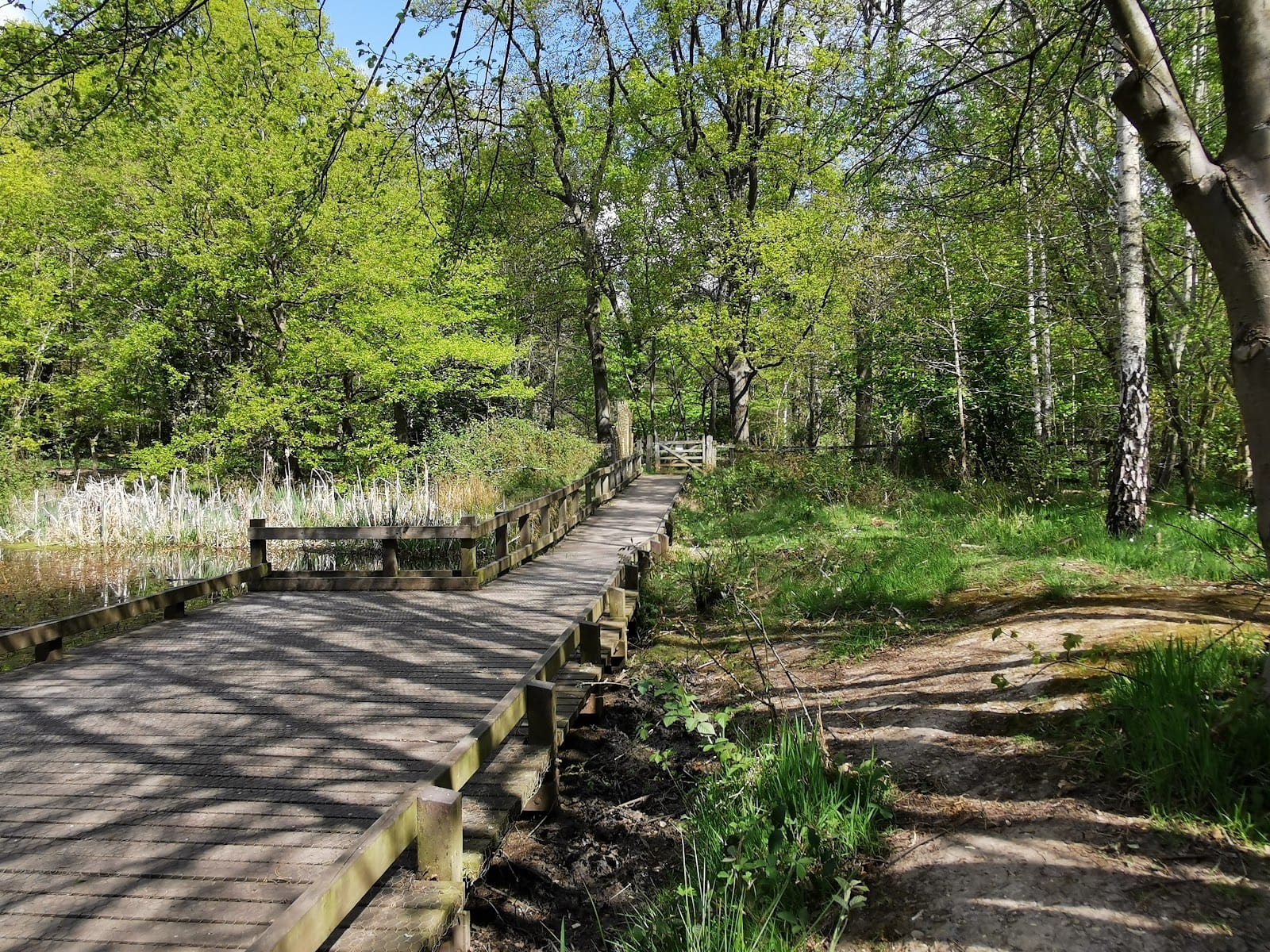 High Woods Country Park Visitor Centre and Café