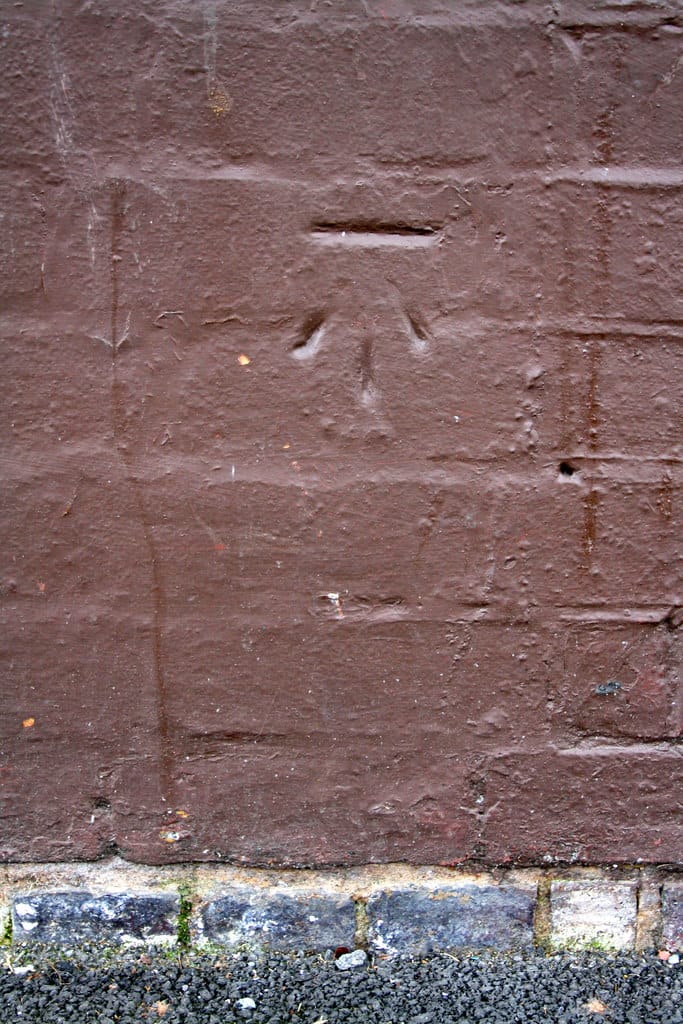 Sage Coffee Shop photo 5