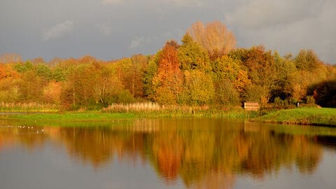 Brandon Marsh Café photo 5
