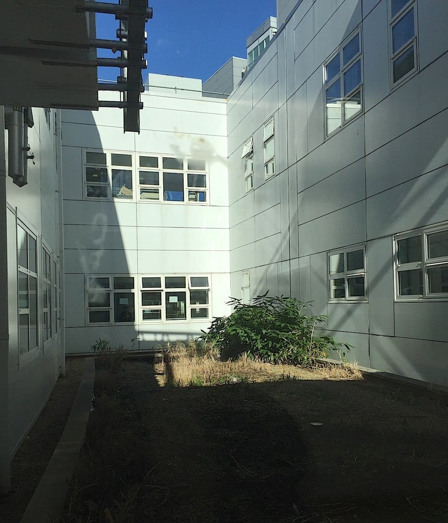 Union House photo 3