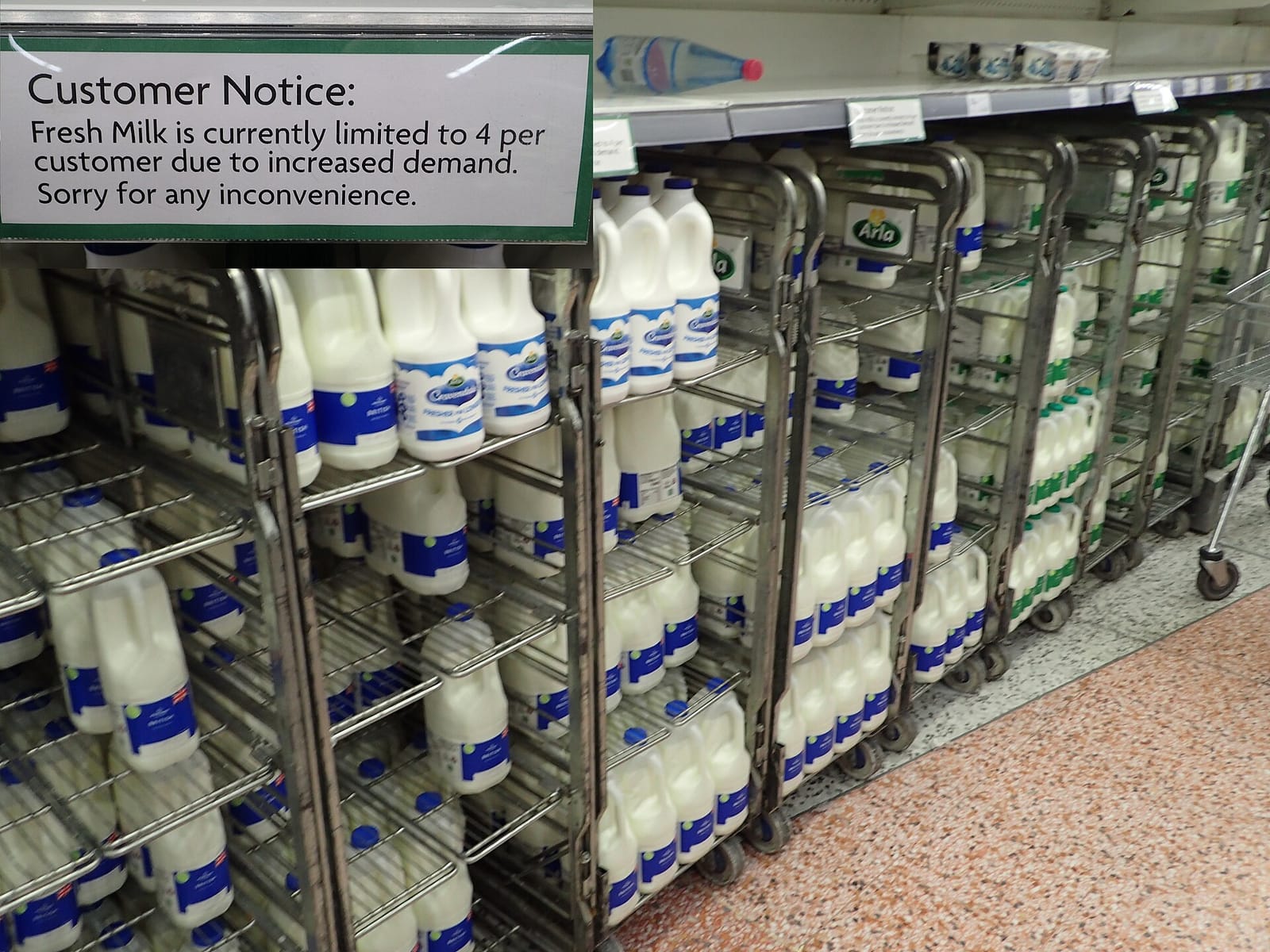 Morrisons Cafe photo 7