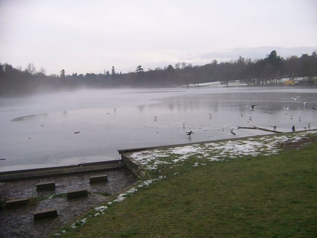 Tilgate Lakeside Cafe photo 4