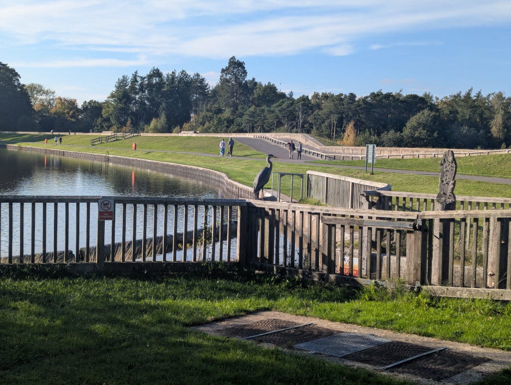 Tilgate Lakeside Cafe photo 3