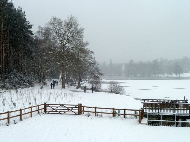 Tilgate Lakeside Cafe photo 5