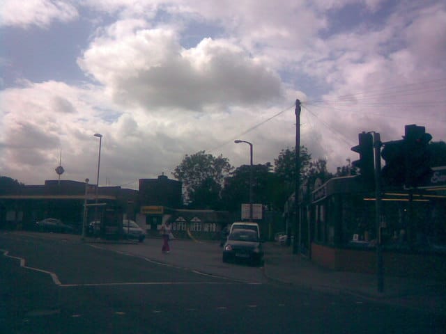 Fig Branch Cafe photo 4