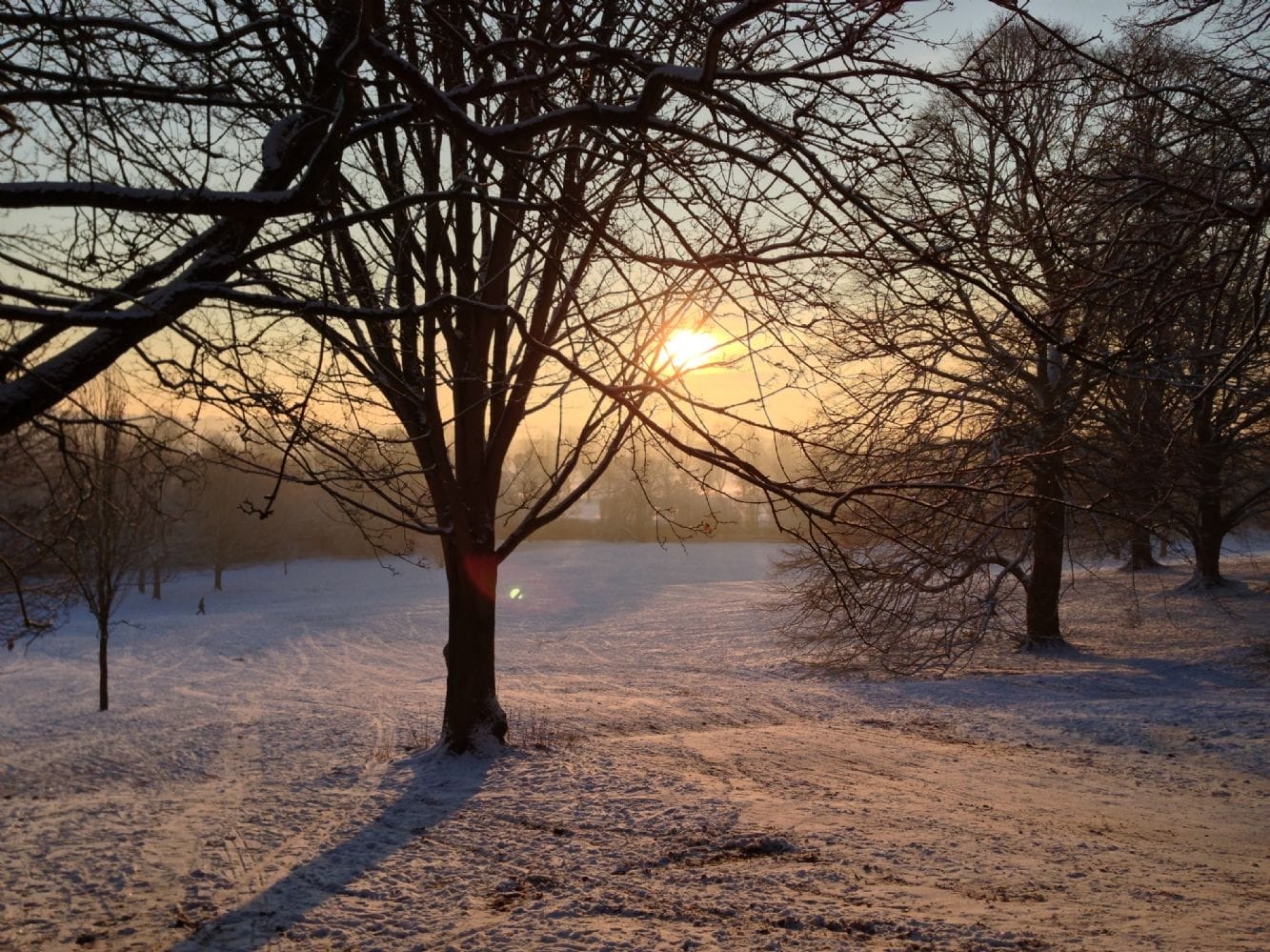 Darley Abbey Park Tea Room photo 9