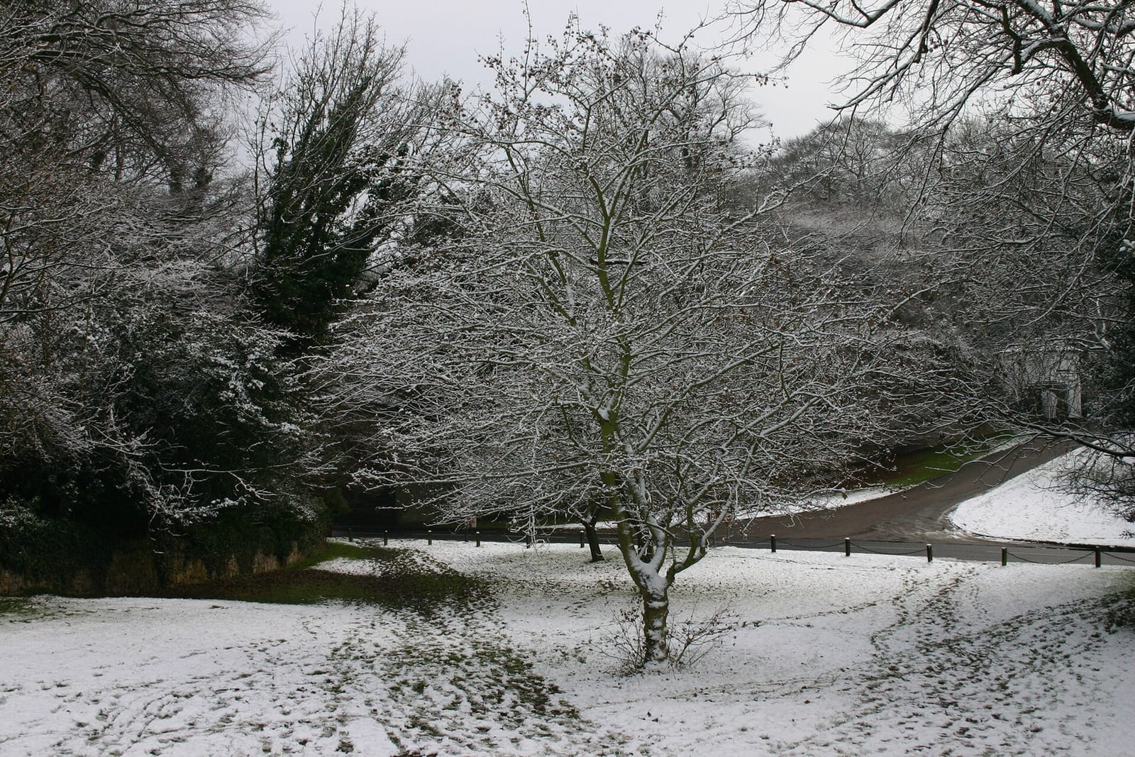 Darley Abbey Park Tea Room photo 10