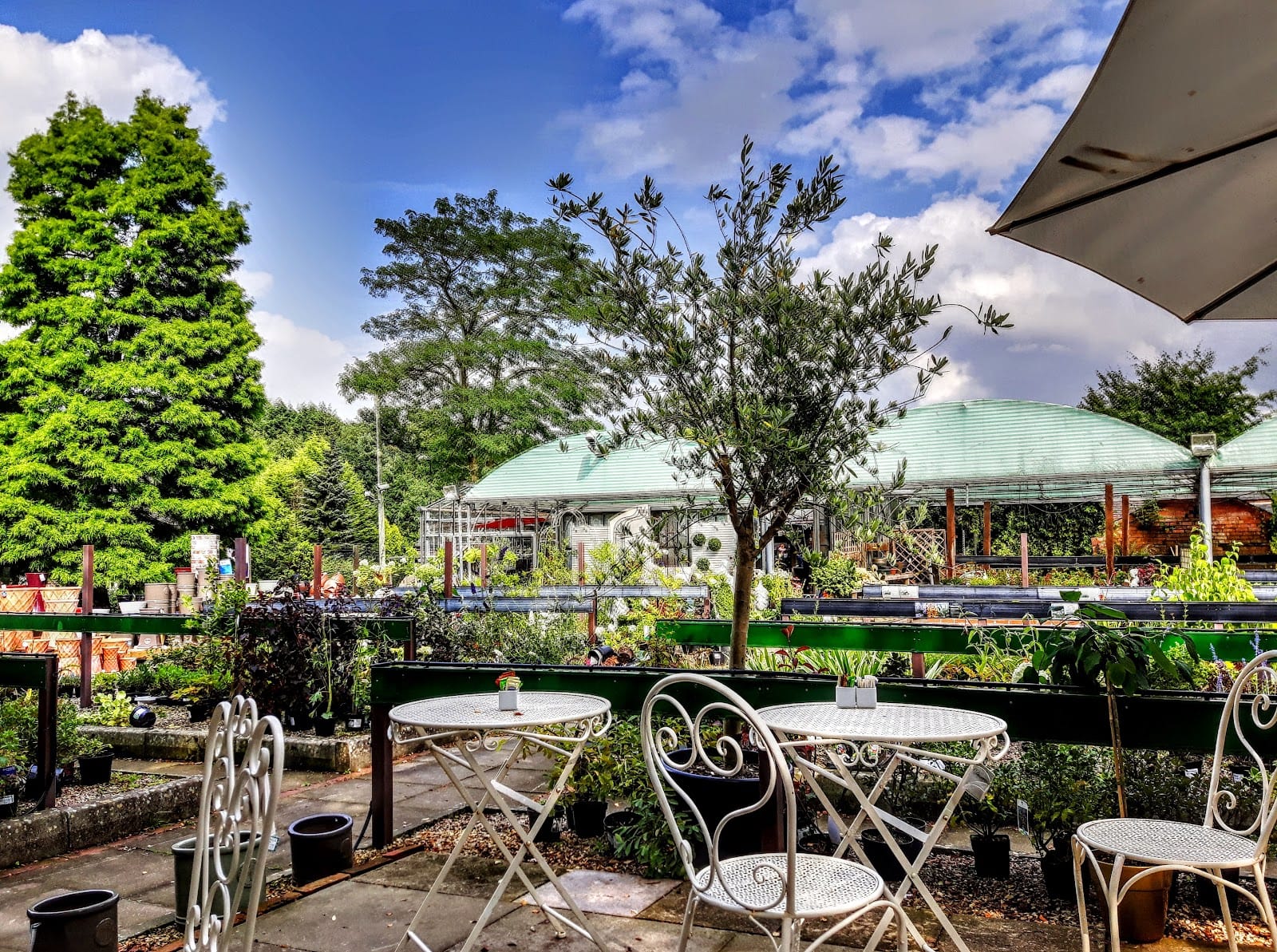 Markeaton Garden Centre