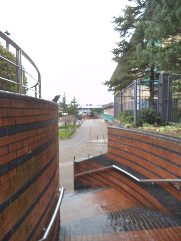 Ten Steps Coffee Lounge photo 3