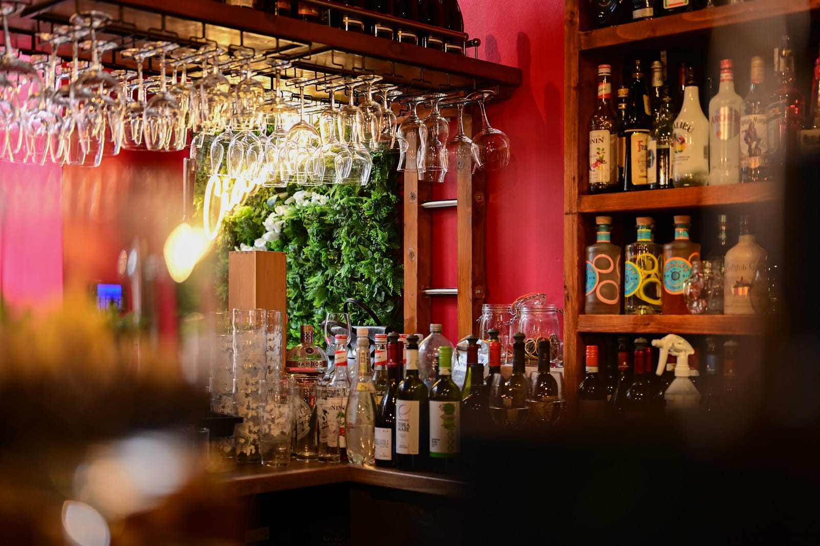 Veeno Edinburgh - Italian Restaurant & Wine Bar photo 3