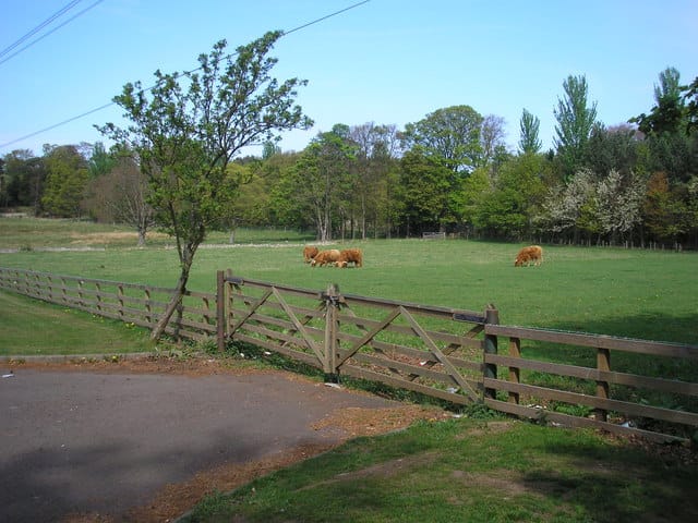 Mortonhall Garden Centre photo 7
