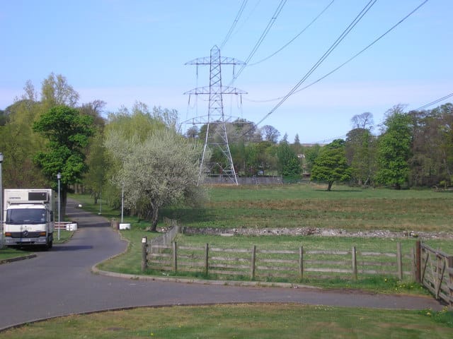 Mortonhall Garden Centre photo 8