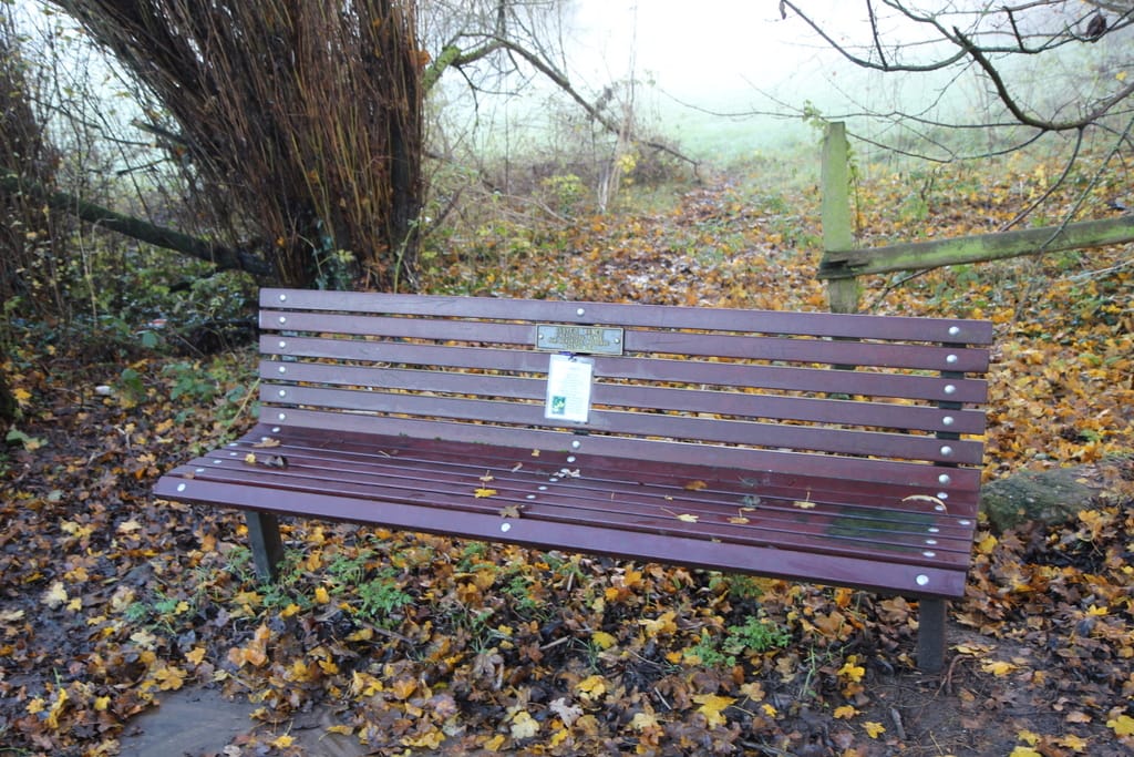 Whitewebbs Cafe Car Park photo 2