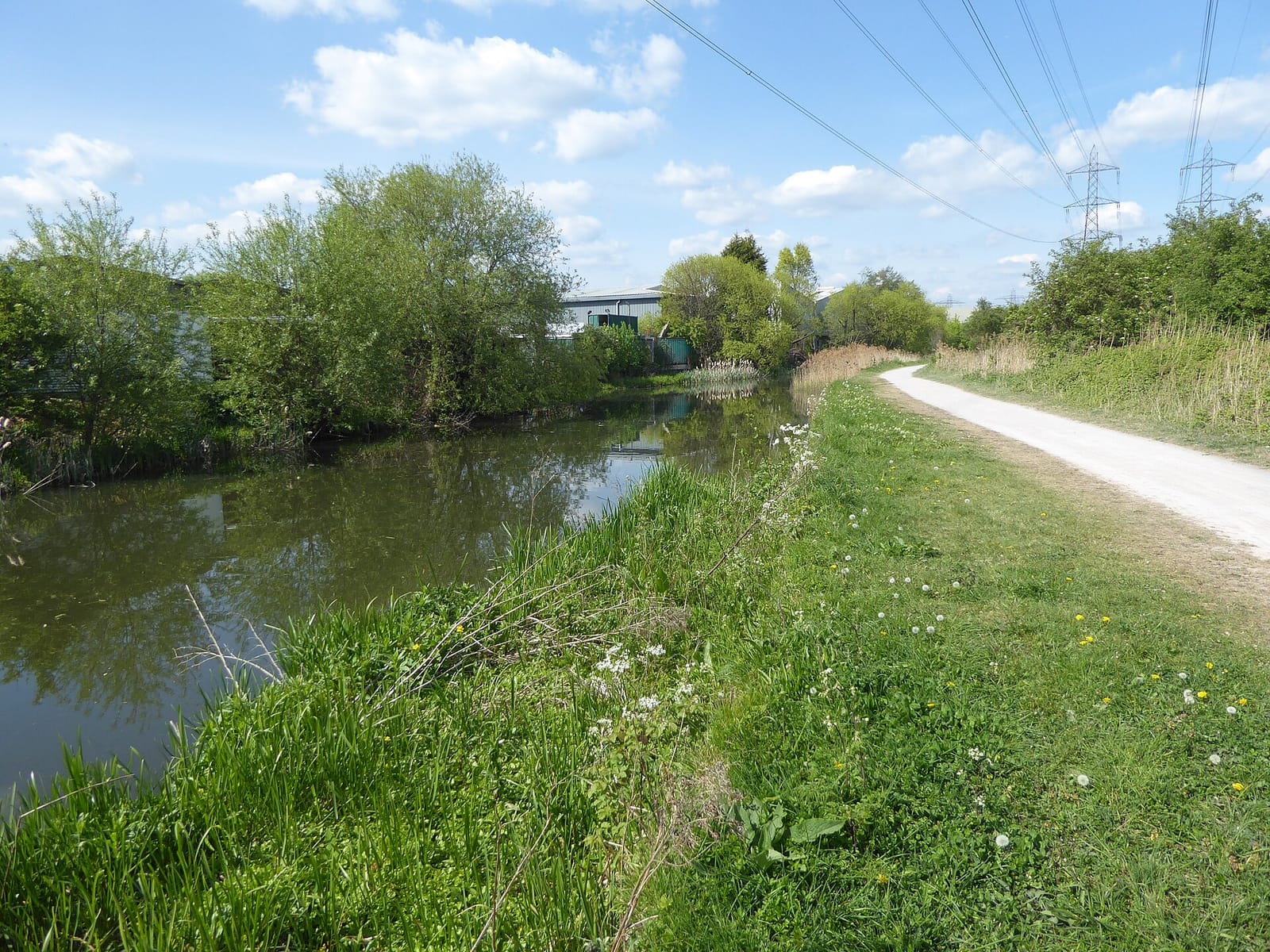 River Cafe photo 2
