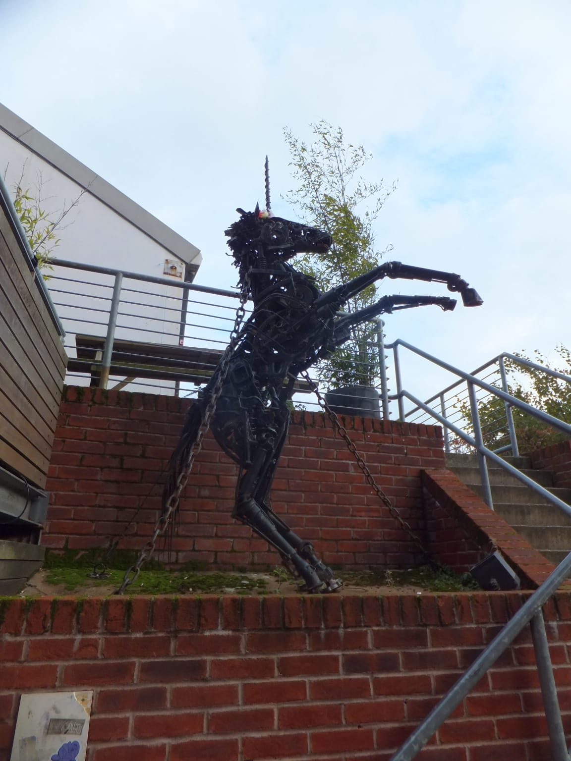 Exeter Phoenix photo 2