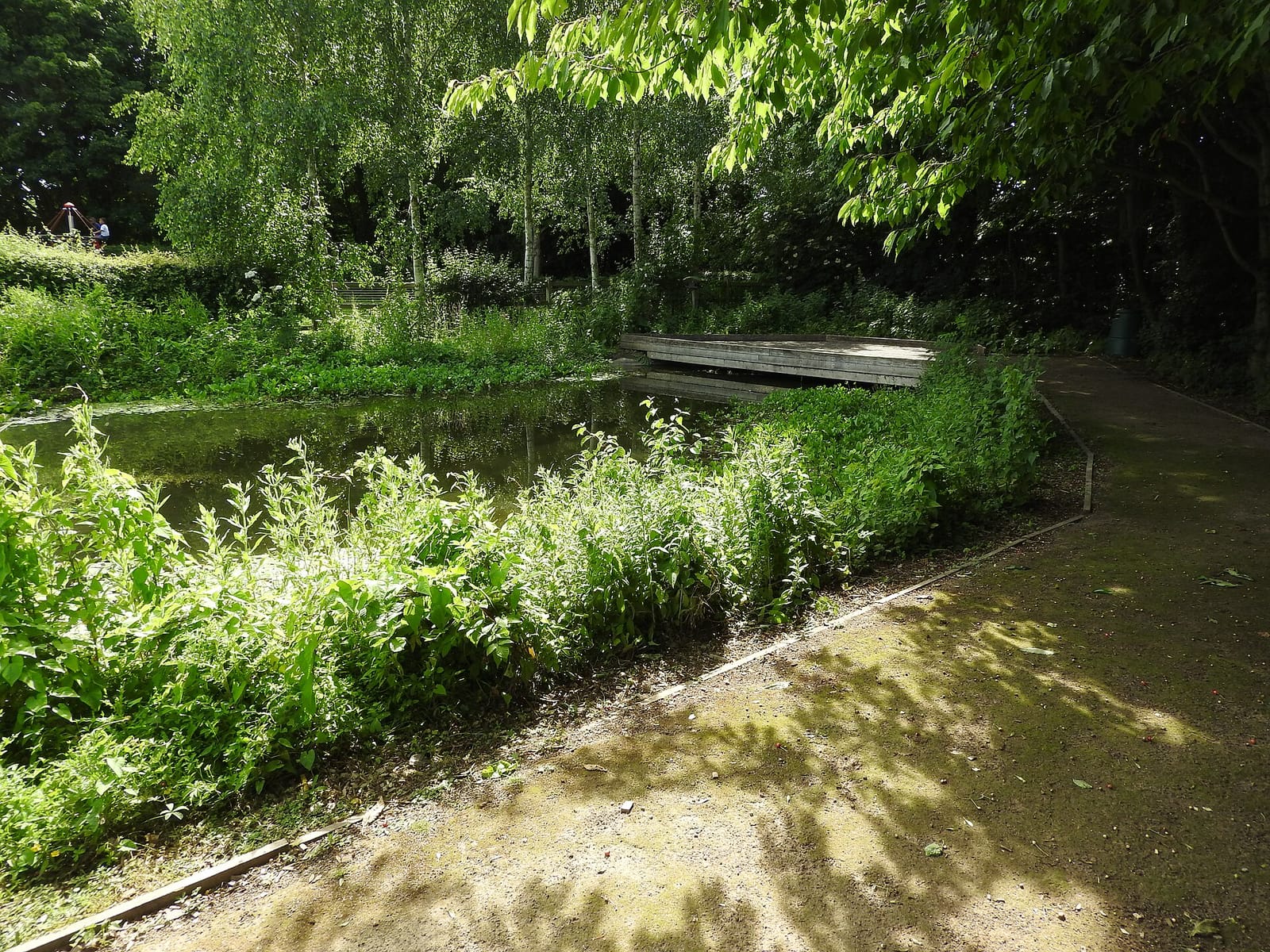 Riverside Country Park Cafe photo 4