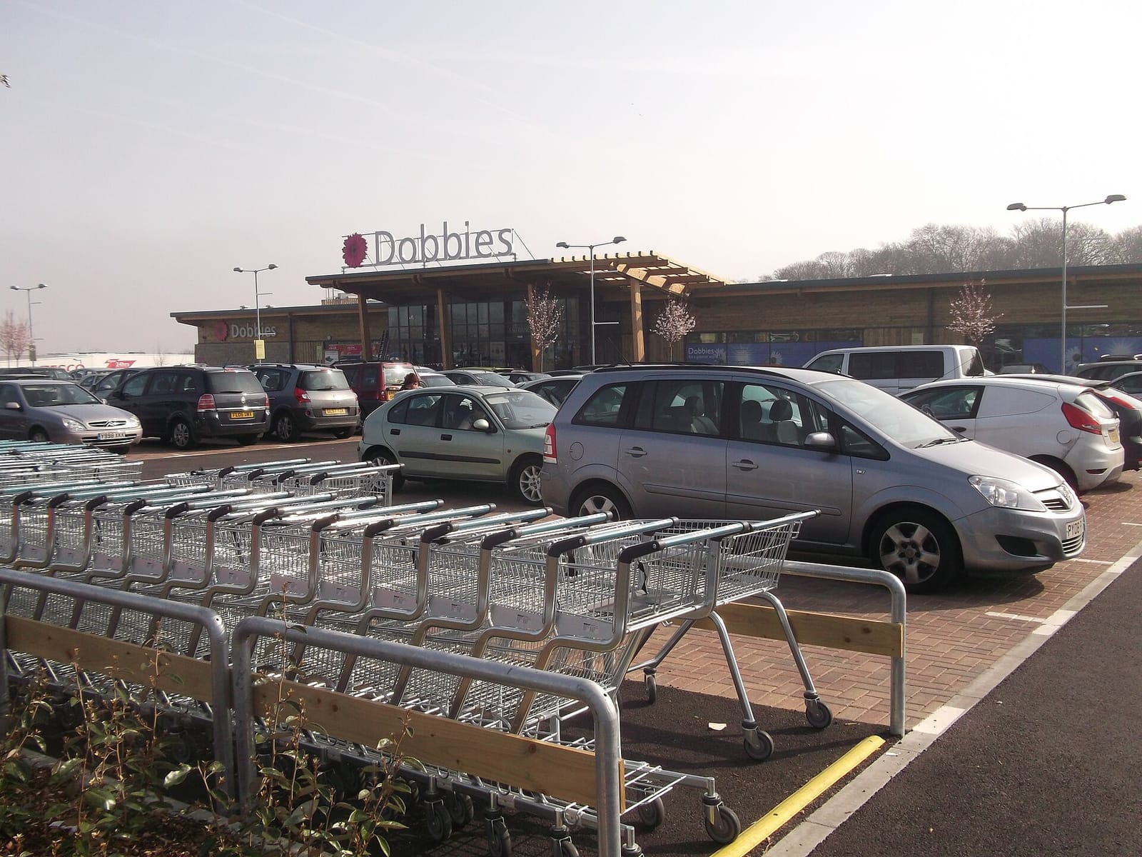 Dobbies opening tknes photo 4