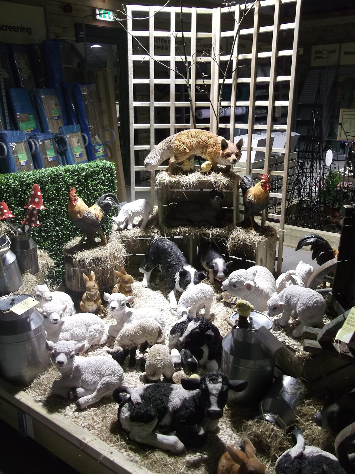 Dobbies opening tknes photo 2