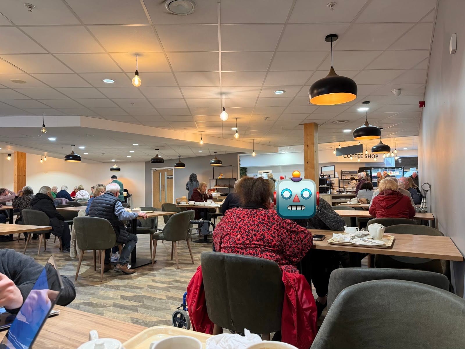 Dobbies opening tknes
