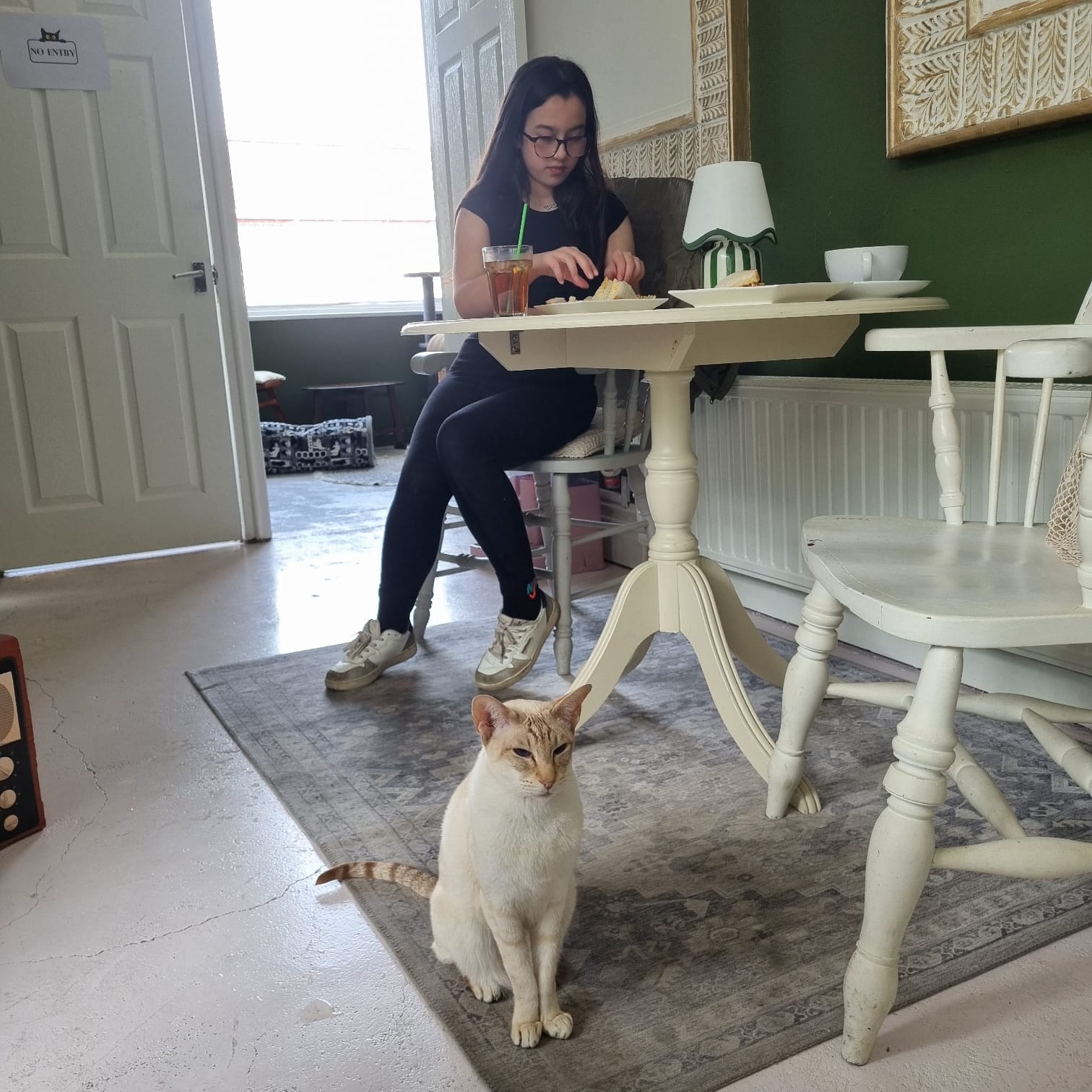 Mrs Slocombe's Cat Cafe