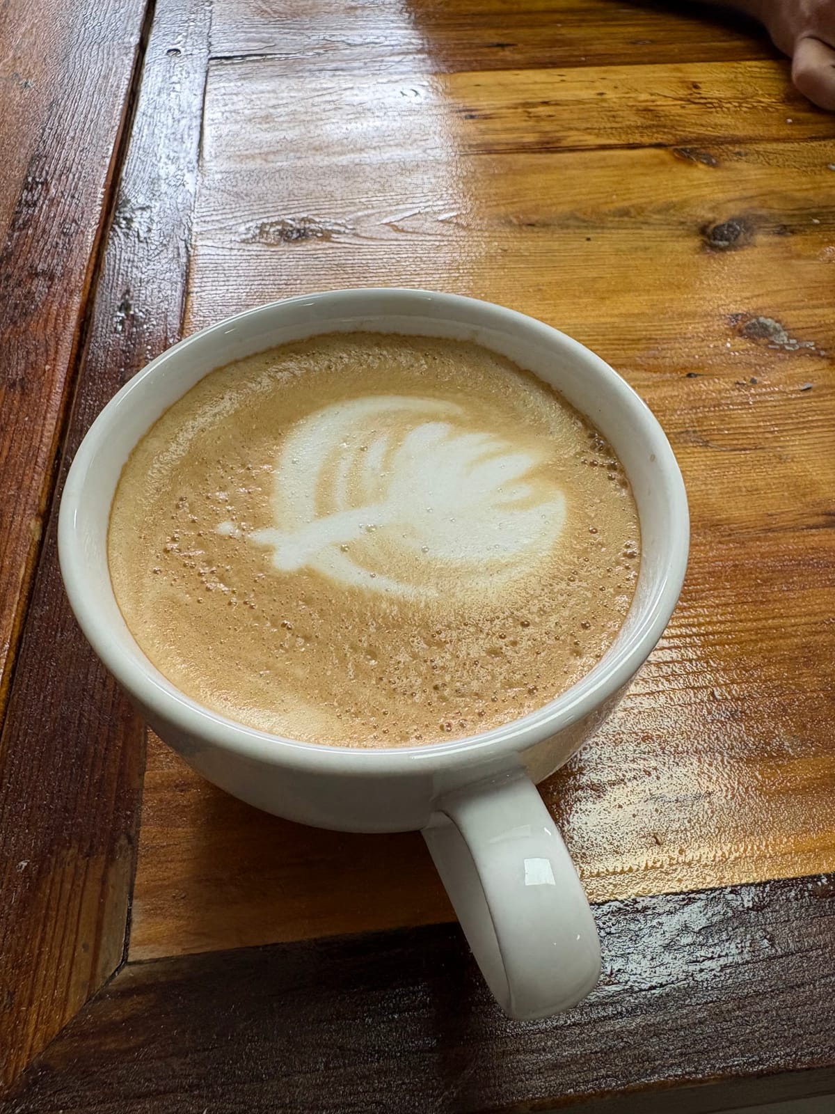 Primavera cafe