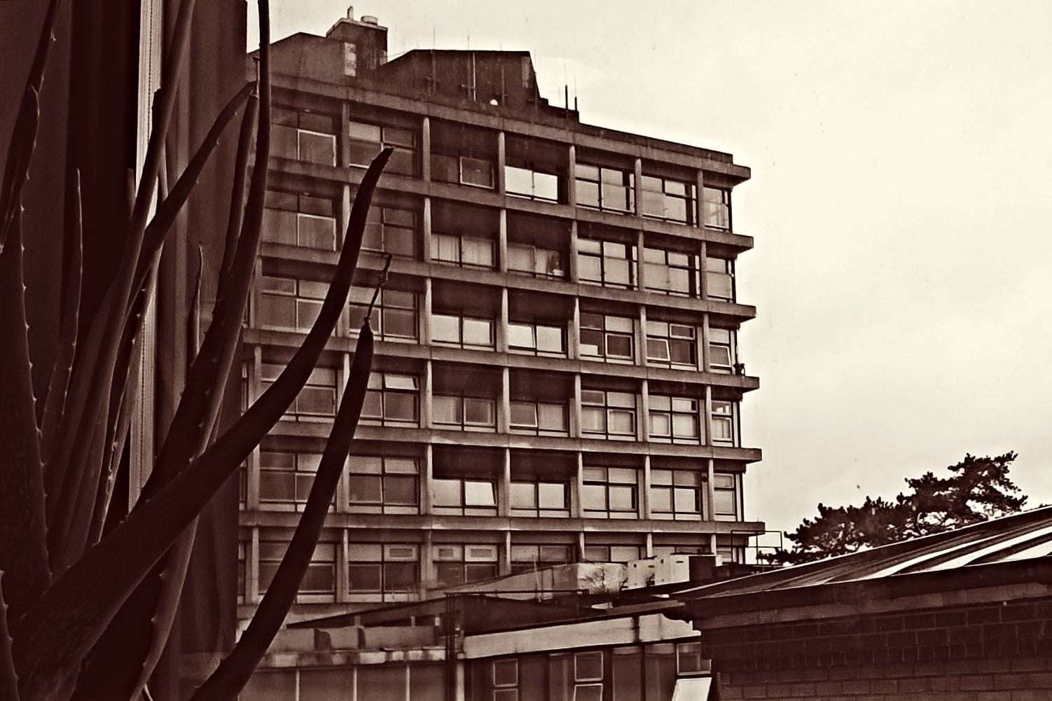 DeliMarché photo 3