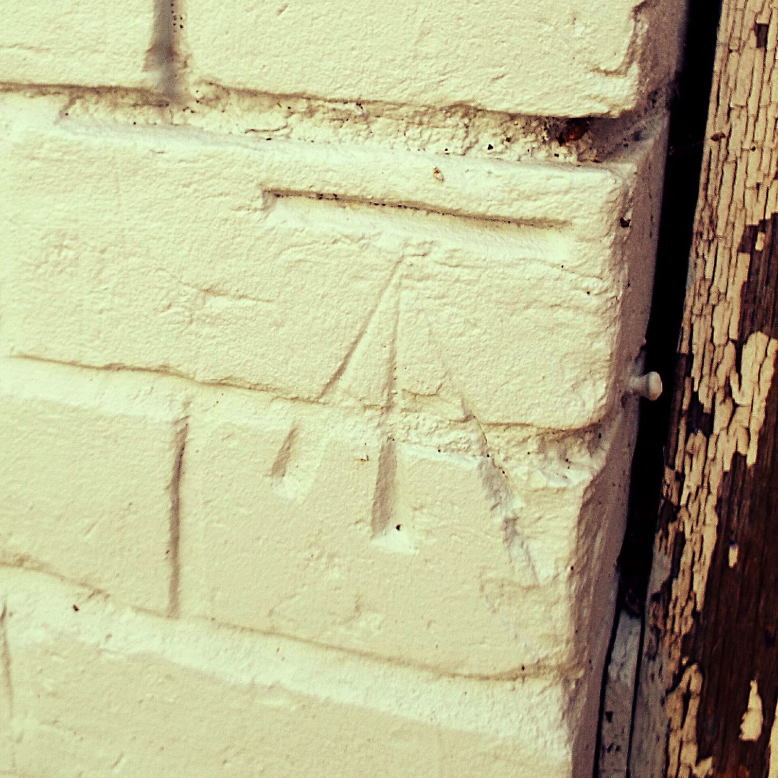 Papaky Coffee Shop photo 3