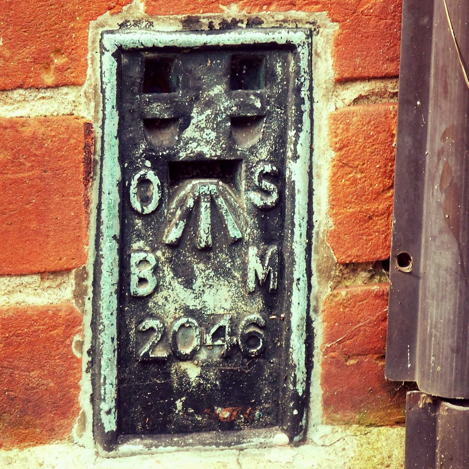 The Royal Oak - Emmaus Suffolk photo 11