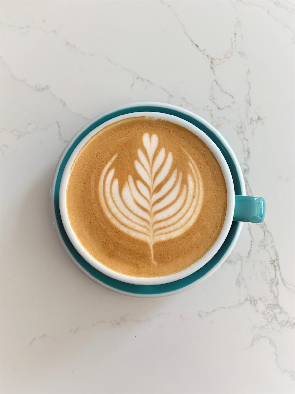 Bean + Brew photo 8