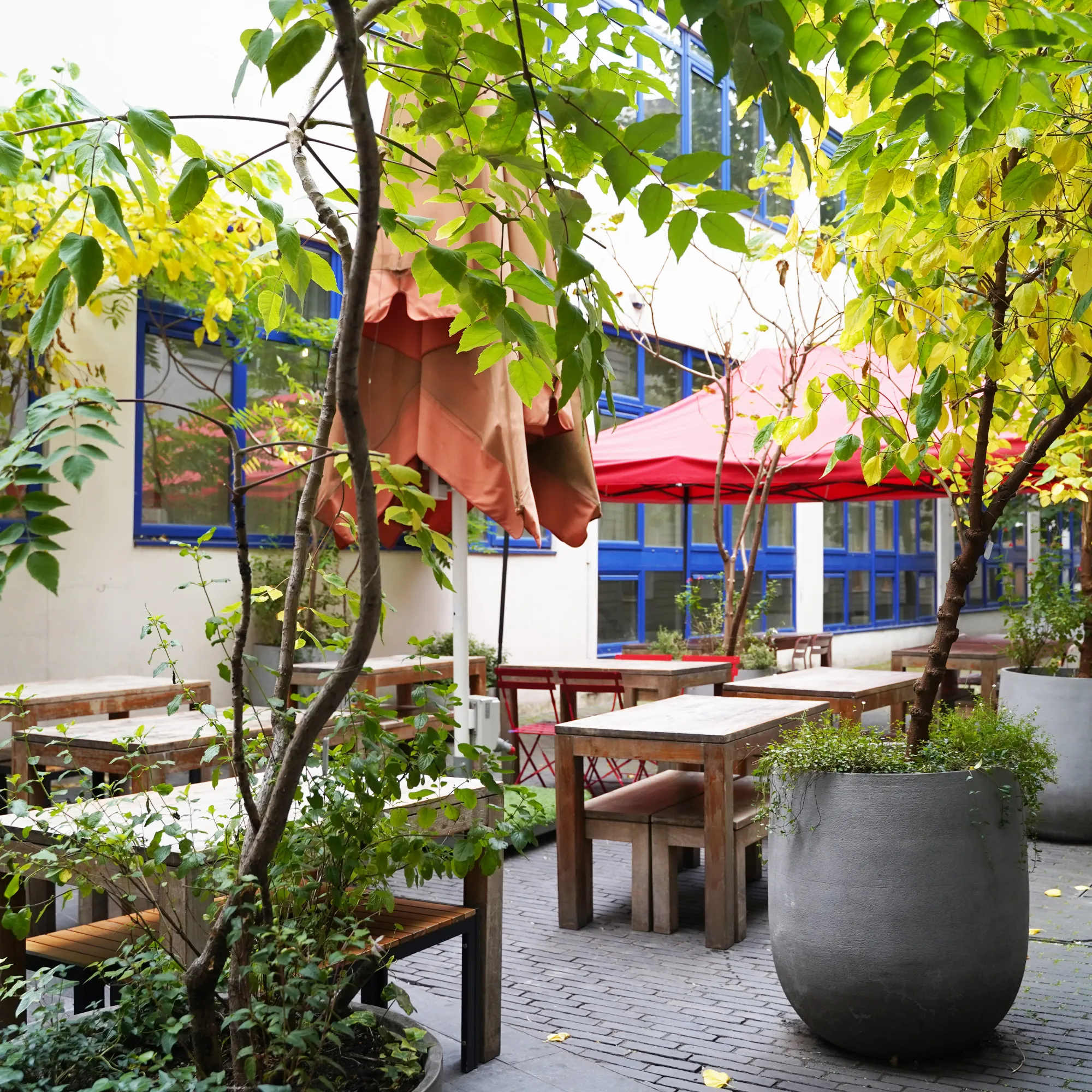The Table Café photo 5