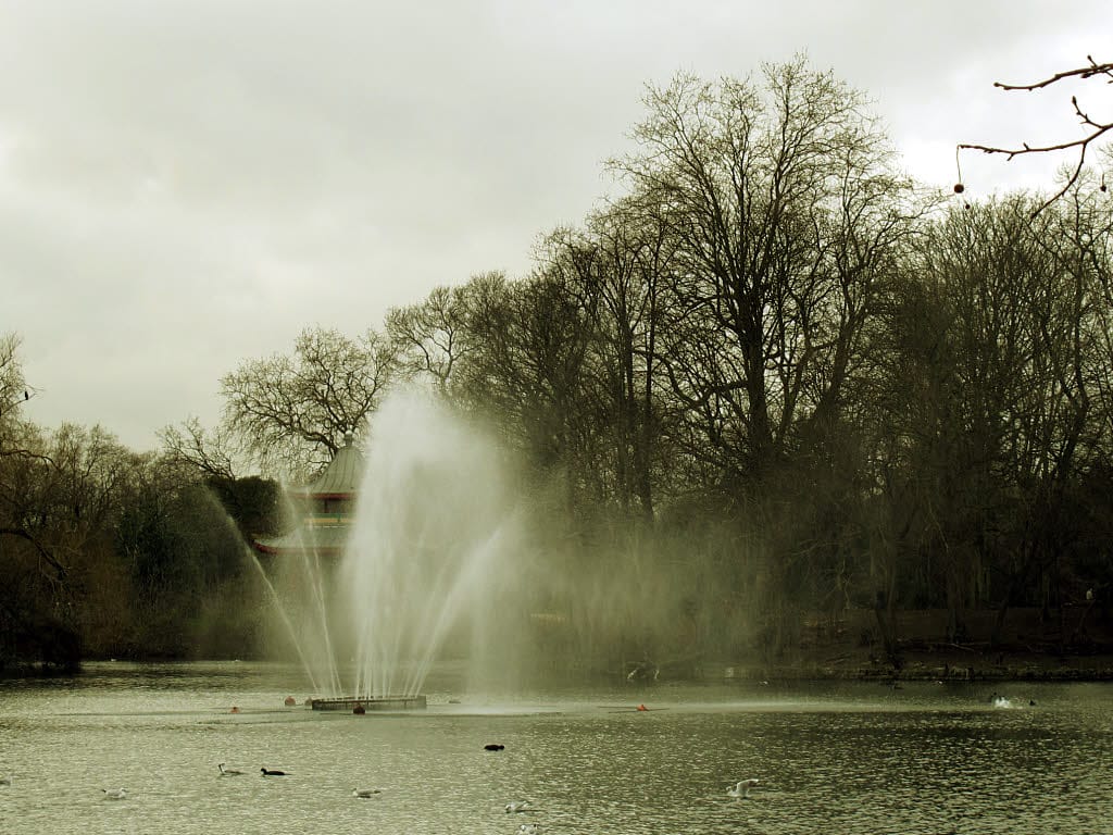 Pavilion Cafe Victoria Park photo 4