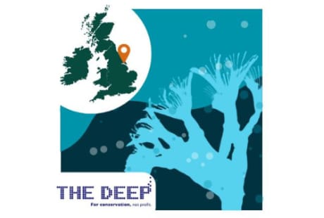 The Deep photo 3