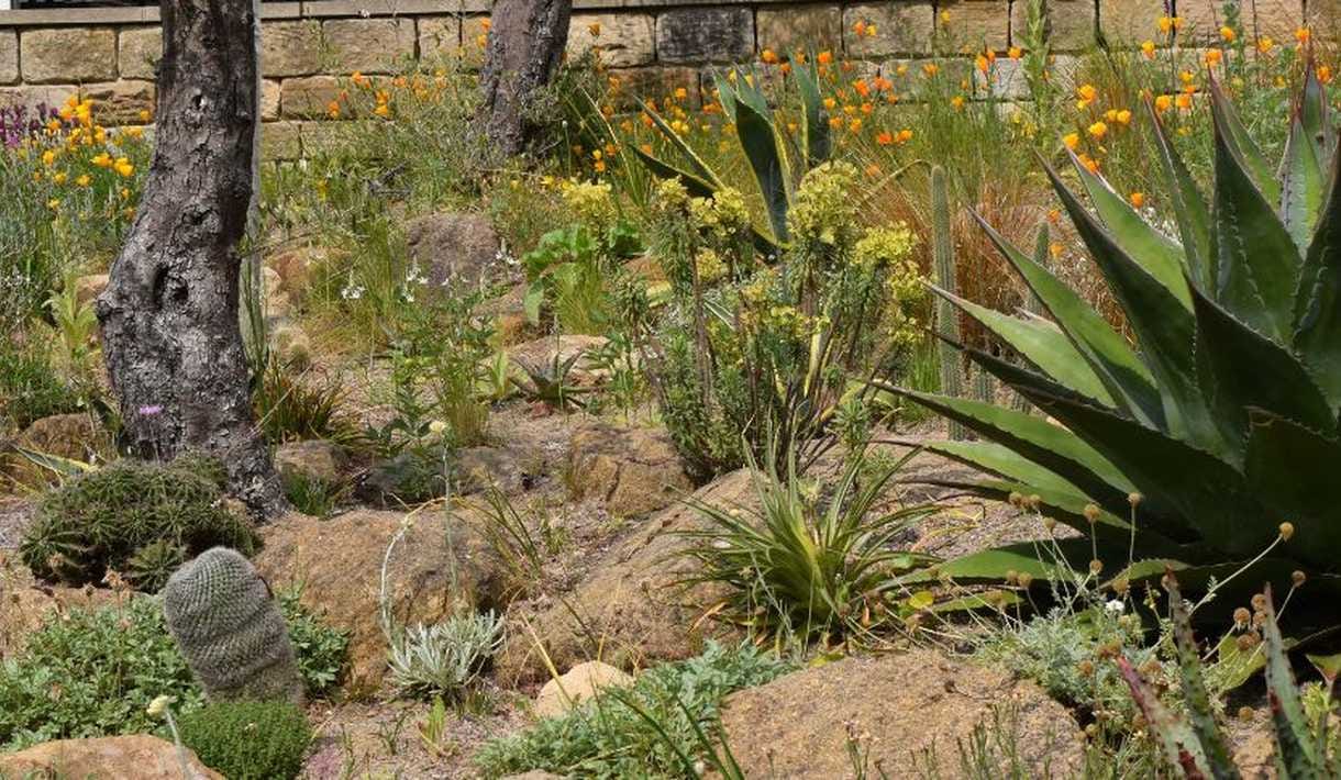 York Gate Garden photo 4