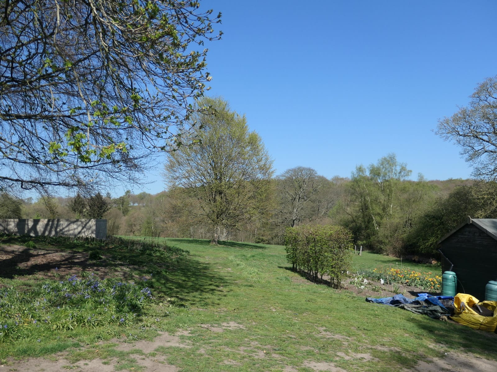 York Gate Garden photo 12