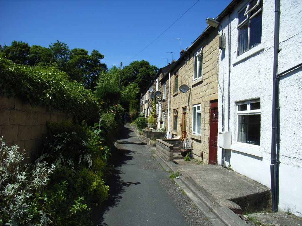 Seven Arts photo 9