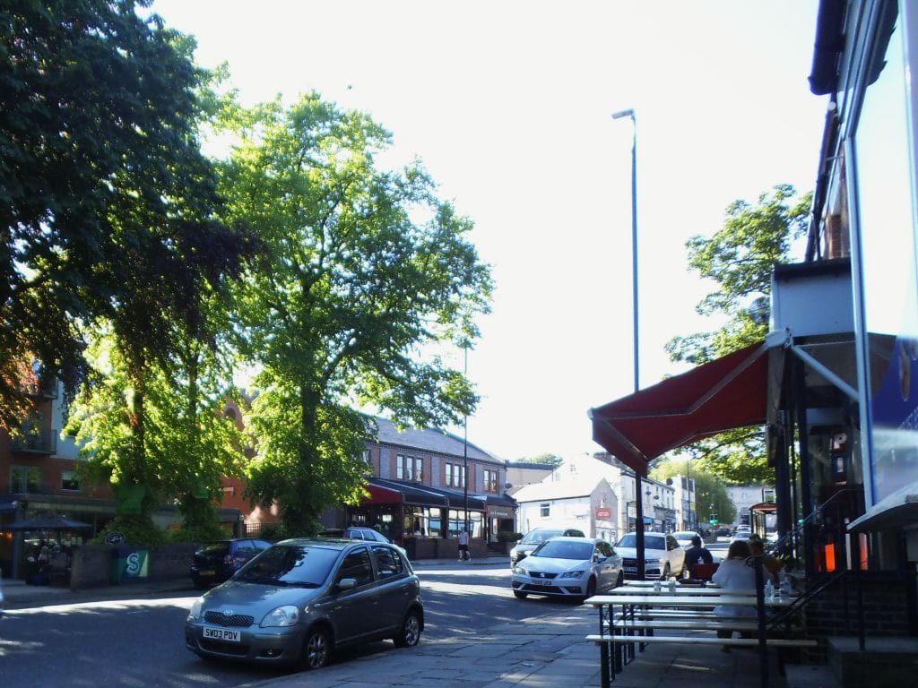 Seven Arts photo 10
