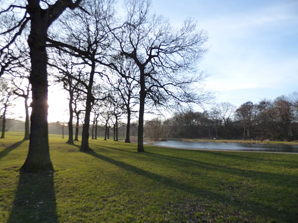 Middleton Park Visitor Centre photo 4