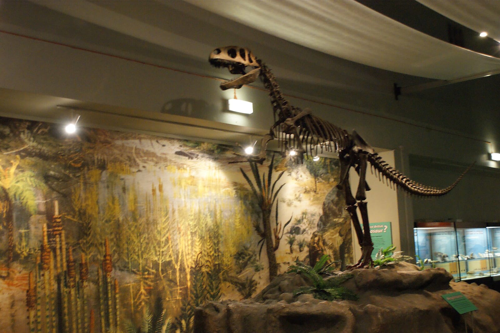 World Museum Cafe photo 2