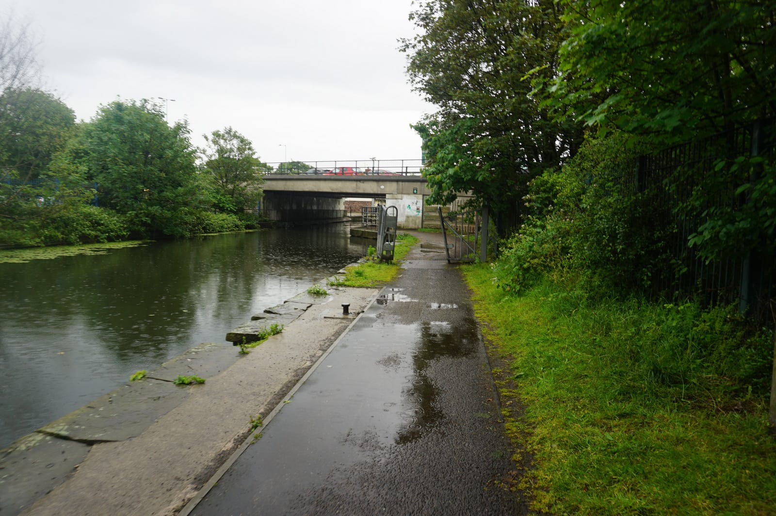 Canal Coffee photo 4