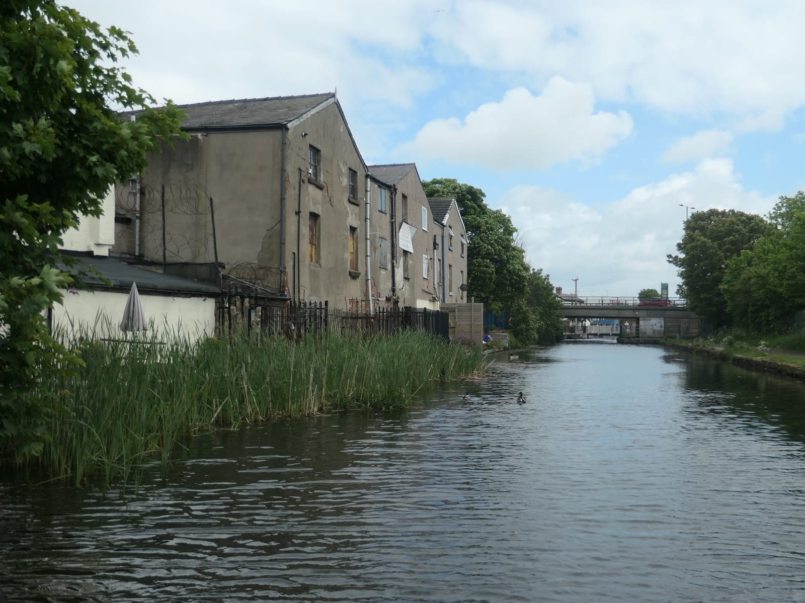Canal Coffee photo 2