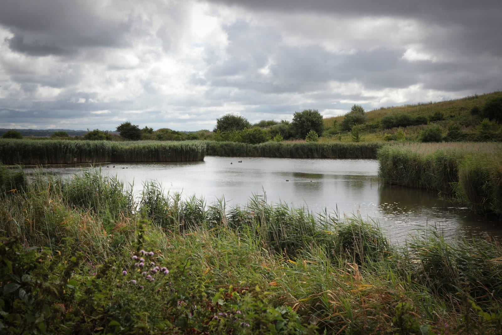 River Park Visitor centre photo 3